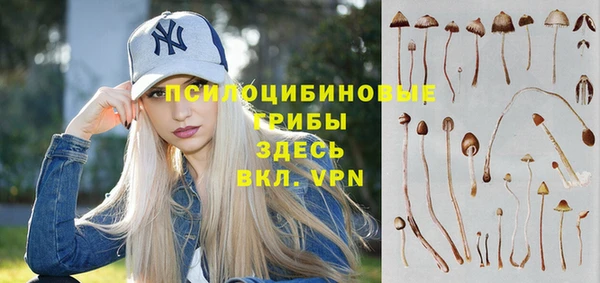 хмурый Магадан