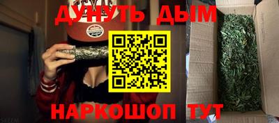 мдпв Гусев