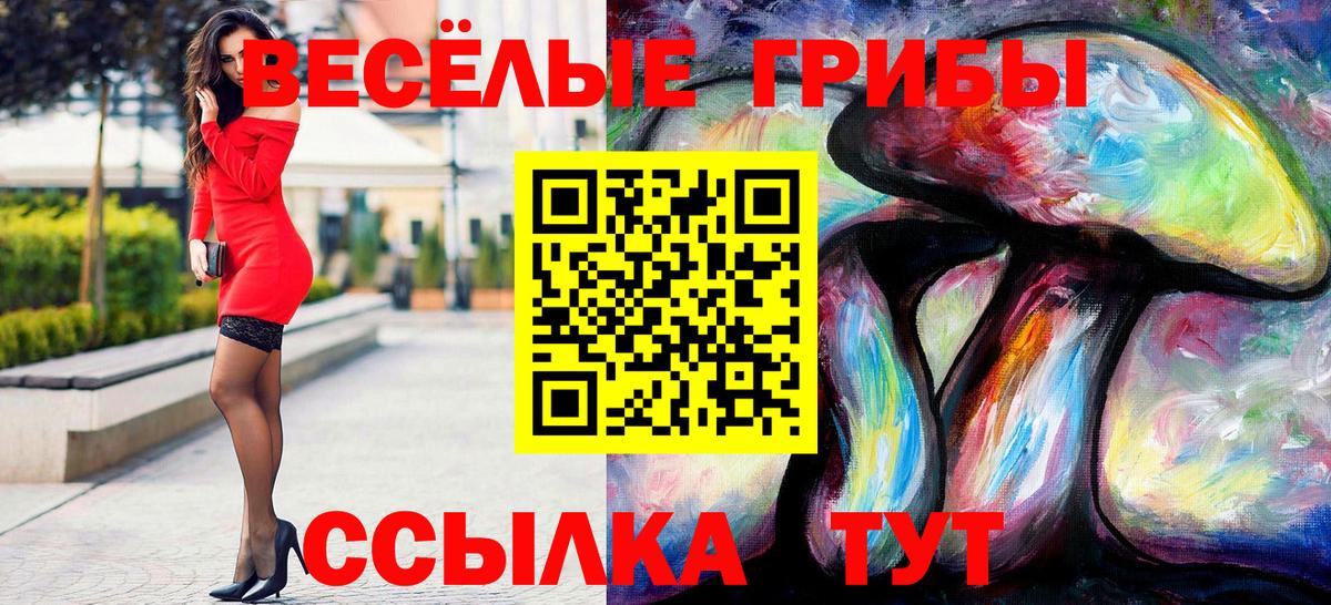 COCAIN  CBD масло  A PVP  Мяу-Мяу  Елабуга  Каннабис  NBOMe  ГАШ  Гашиш  Вход с VPN  Кетыч 