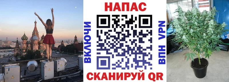 Конопля планчик Елабуга